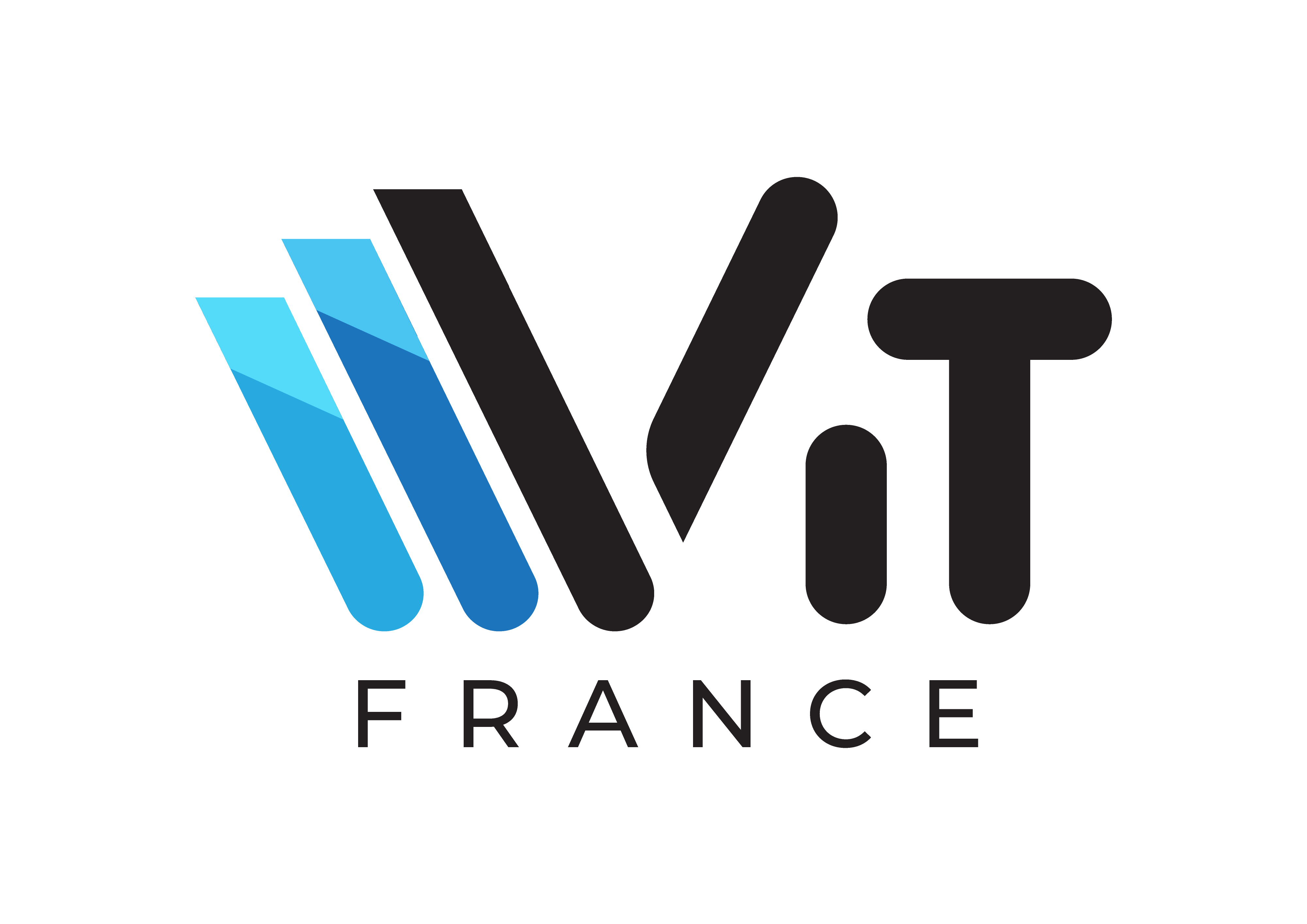 Logo-VIT-2020